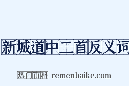新城道中二首反义词是什么意思的图片